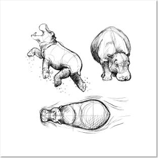 Sketches of a Hippopotamus Posters and Art